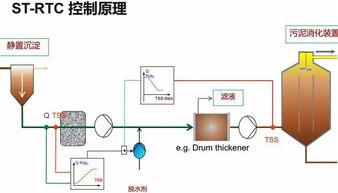 干货来袭 雷斌解读智能传感与控制技术如何助力污水工艺优化与智能井盖管理